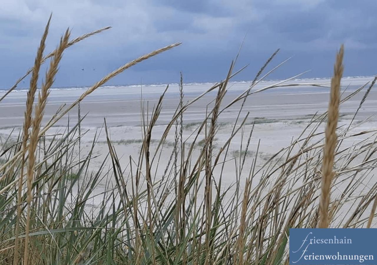Friesenhain Ferienwohnungen Sankt Peter-Ording Buitenkant foto